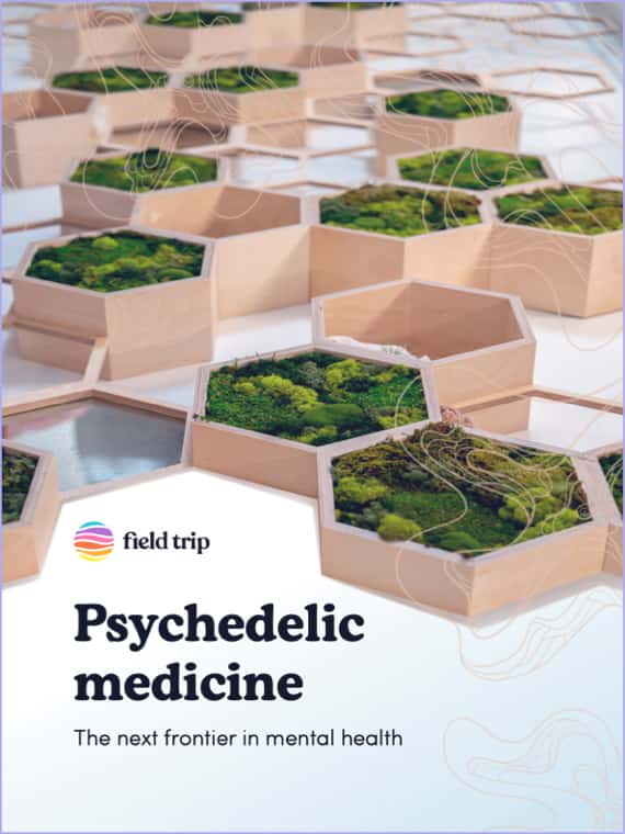 Couverture du livre blanc Field Trip Psychedelic Medicine