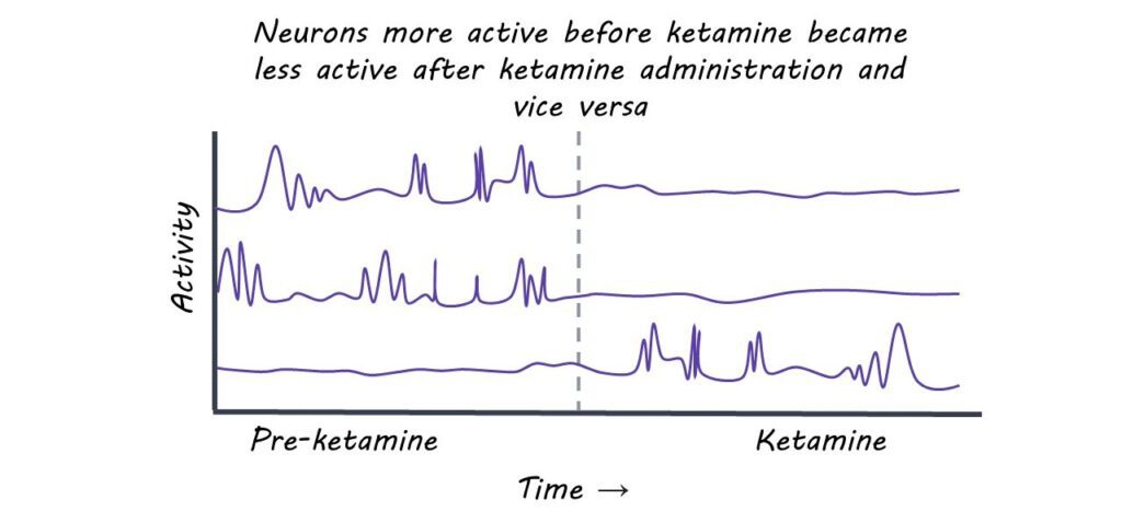 Neurons that were more active before Ketamine Therapy became less active after administration, and vice versa